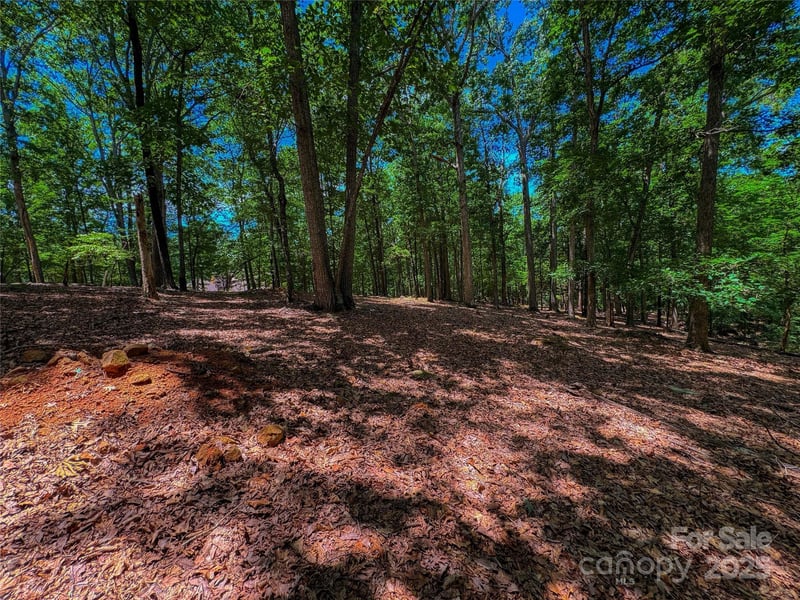 1560 Rocky Cove Ln, Denton, NC 27239