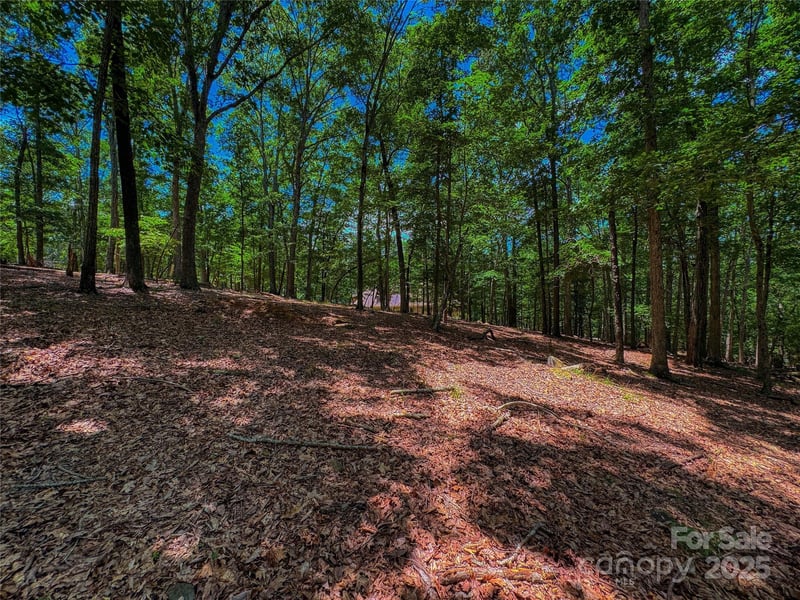 1560 Rocky Cove Ln, Denton, NC 27239
