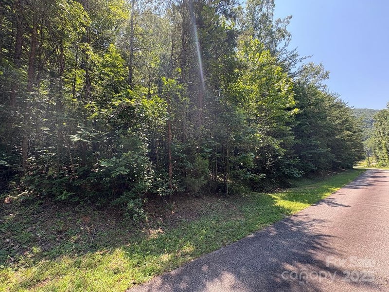 Lot 13 Wildflower Way, Marion, NC 28752