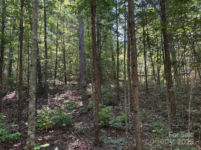 Lot 13 Wildflower Way, Marion, NC 28752