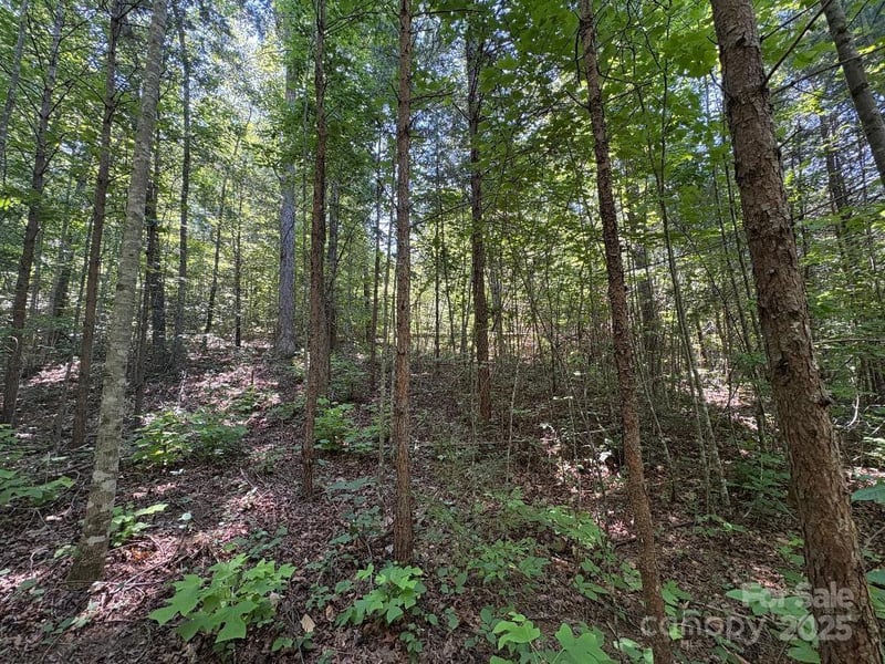 Lot 13 Wildflower Way, Marion, NC 28752