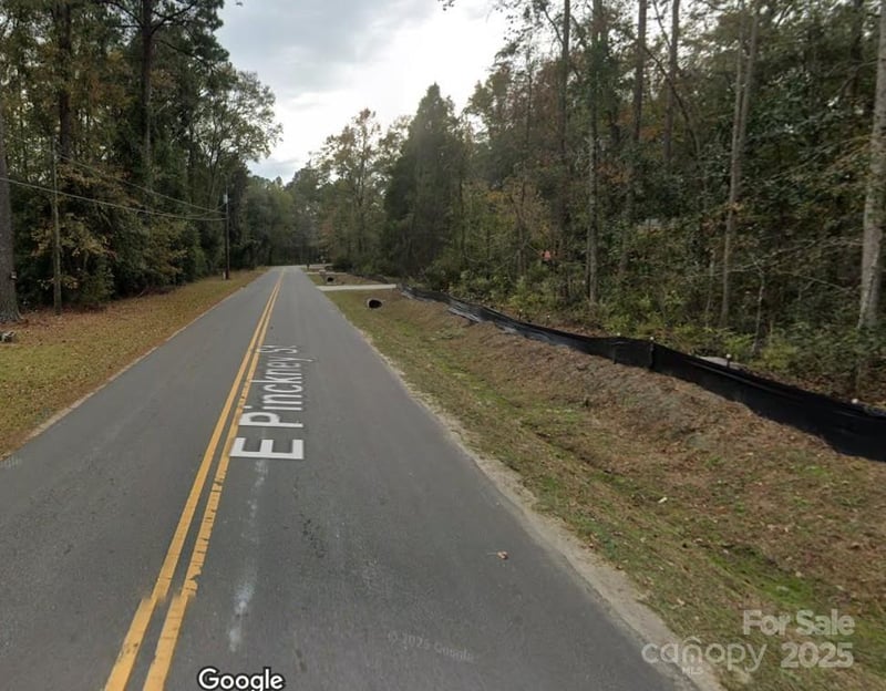 162 Pinckney St, Summerville, SC 29485