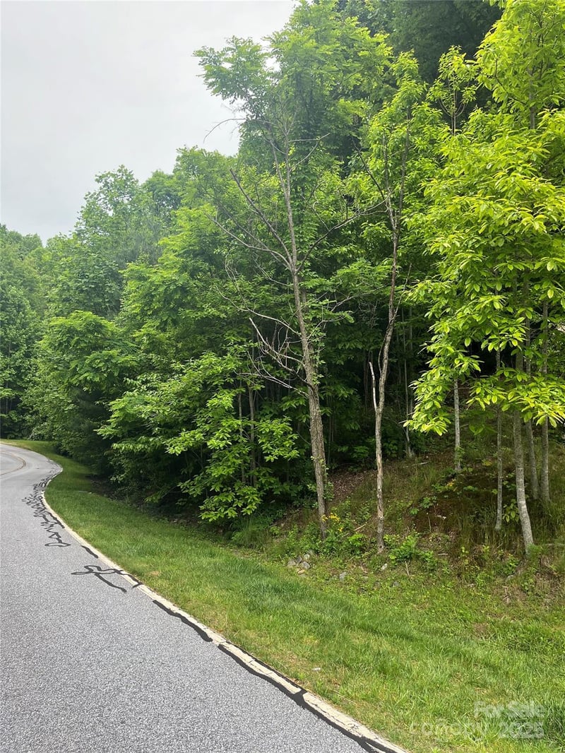 112 Pinnacle Peak Ln, Flat Rock, NC 28731