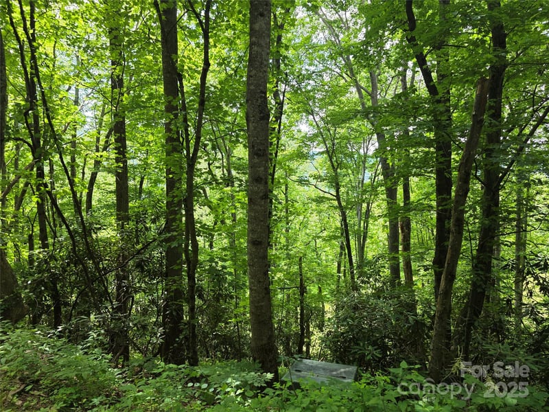 99999 Red Oak Dr, Mills River, NC 28759