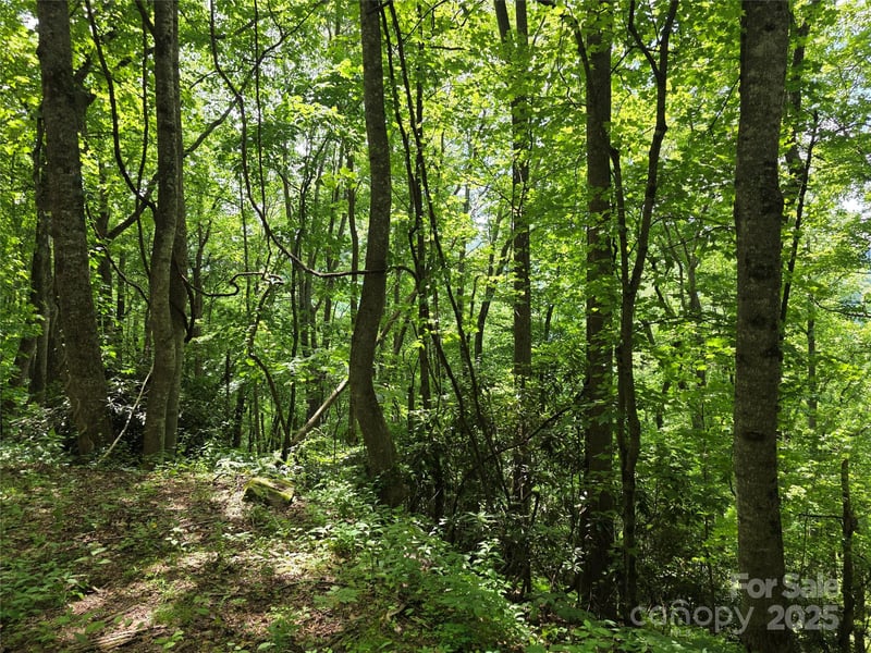 99999 Red Oak Dr, Mills River, NC 28759