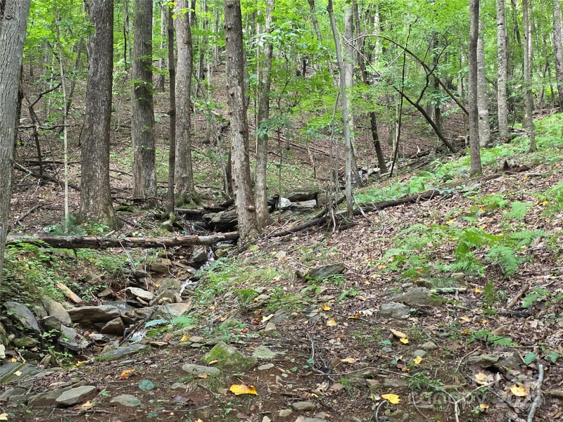 800610 Ivy Rd #217, Mills River, NC 28759