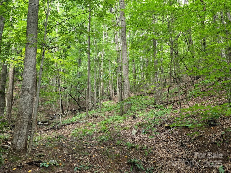 800610 Ivy Rd #217, Mills River, NC 28759