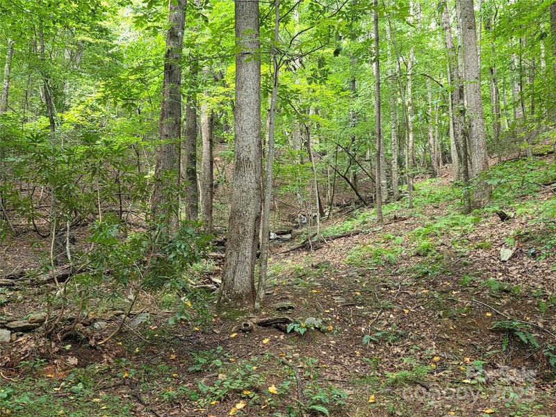 800610 Ivy Rd #217, Mills River, NC 28759