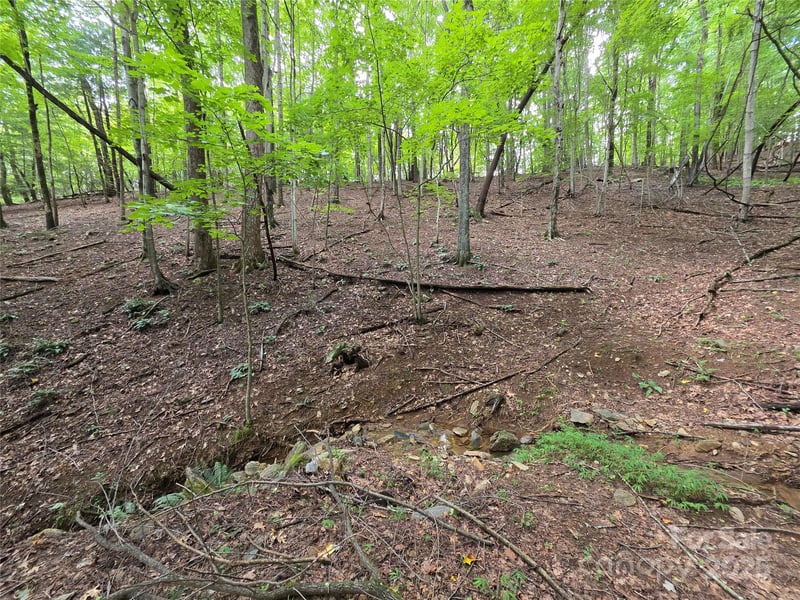 801399 Ivy Rd #216, Mills River, NC 28759