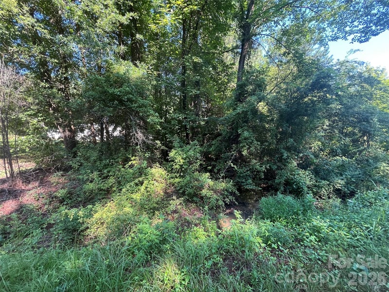Webb Loop Rd, Mount Gilead, NC 27306