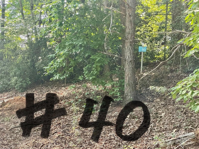 00 Plantation Dr #40 & 41, Marion, NC 28752