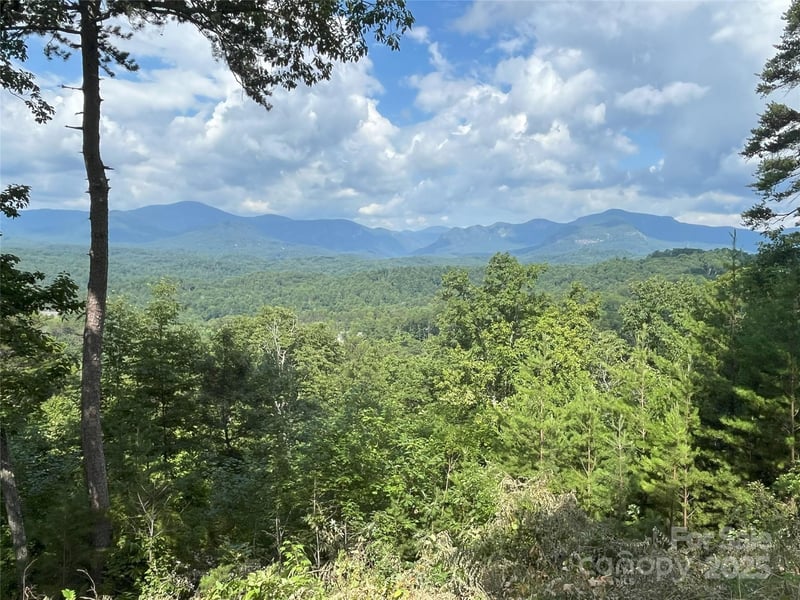 00 Bills Mountain Trl #6, Lake Lure, NC 28746