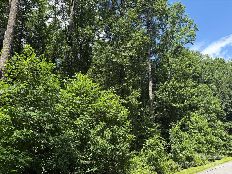 Lot 37 Mountain Brook Trl #37, Brevard, NC 28712