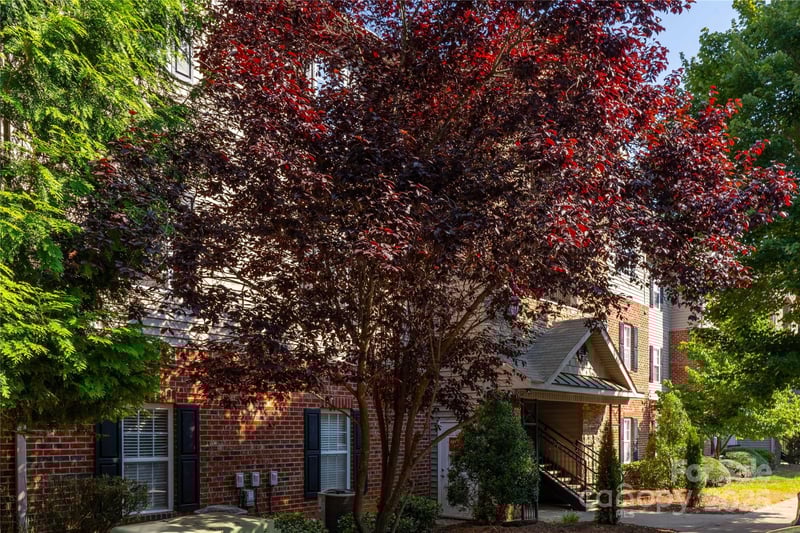 332 Appeldoorn Cir, Asheville, NC 28803