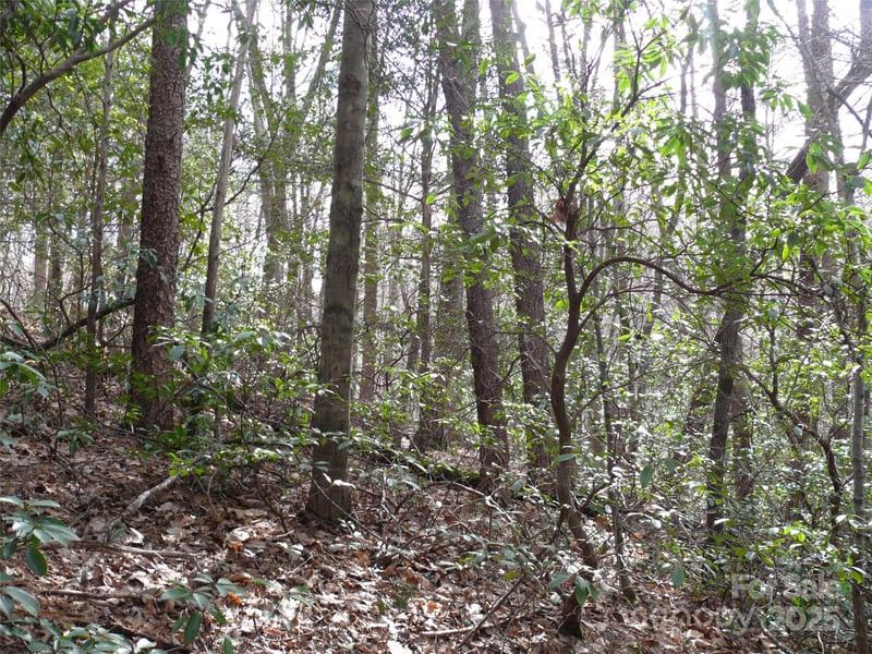 Lot 102 Shumont Estates Dr, Lake Lure, NC 28746