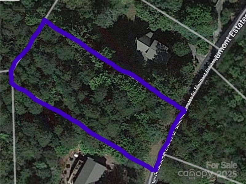 Lot 102 Shumont Estates Dr, Lake Lure, NC 28746