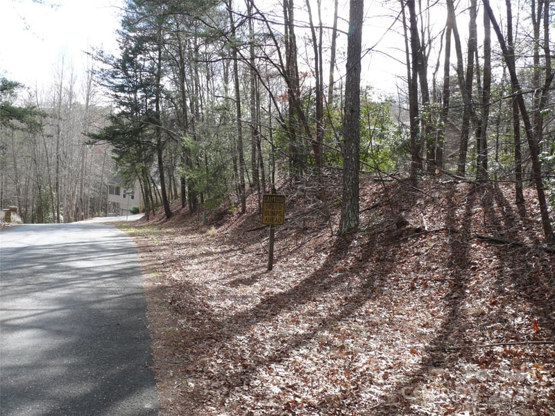 Lot 102 Shumont Estates Dr, Lake Lure, NC 28746