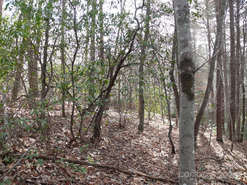 Lot 102 Shumont Estates Dr, Lake Lure, NC 28746