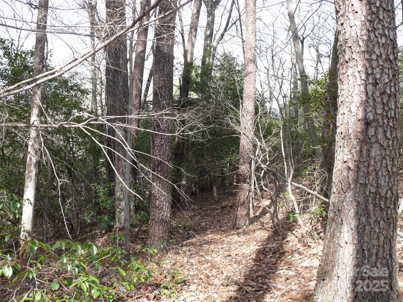 Lot 102 Shumont Estates Dr, Lake Lure, NC 28746