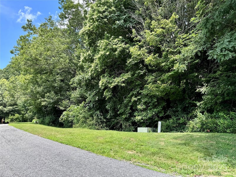 35 Ladys Fern Trl, Hendersonville, NC 28739