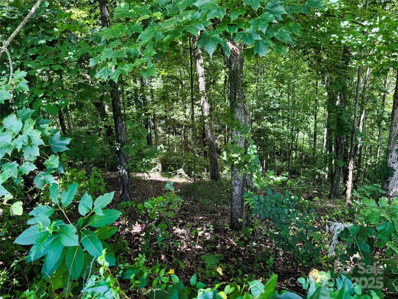 35 Ladys Fern Trl, Hendersonville, NC 28739