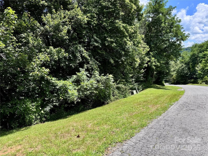 35 Ladys Fern Trl, Hendersonville, NC 28739