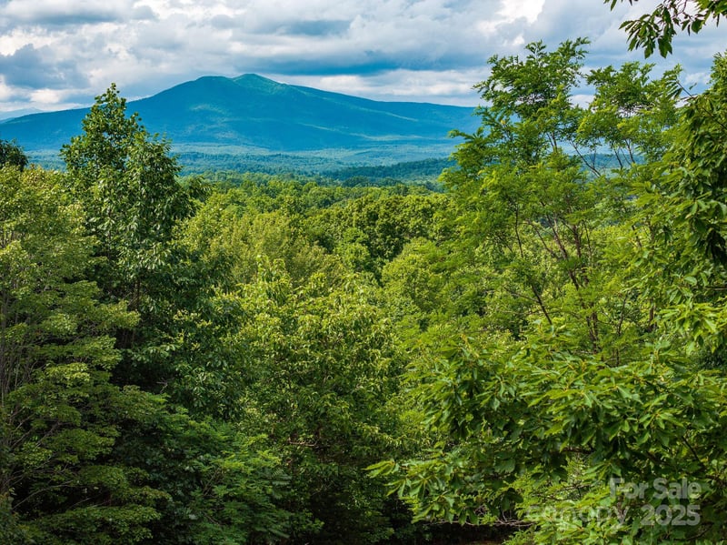 155 Big View Dr #155, Marion, NC 28752