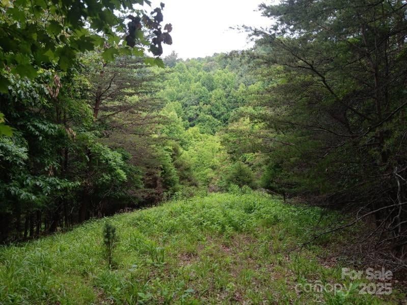 2255 Nc Hwy 268 Hw, Wilkesboro, NC 28697