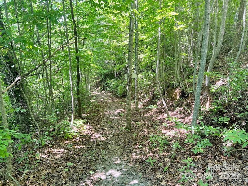 521 Signal Rg, Sylva, NC 28779