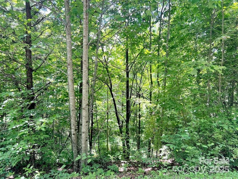 521 Signal Rg, Sylva, NC 28779