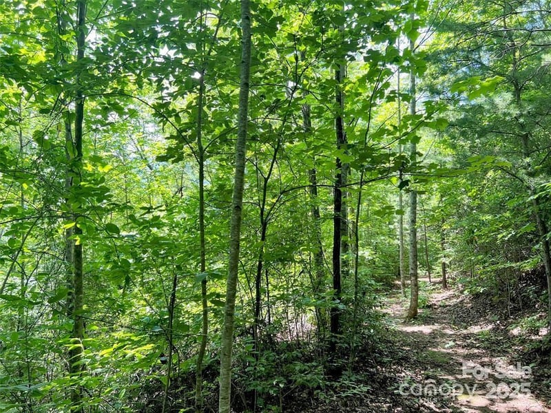521 Signal Rg, Sylva, NC 28779