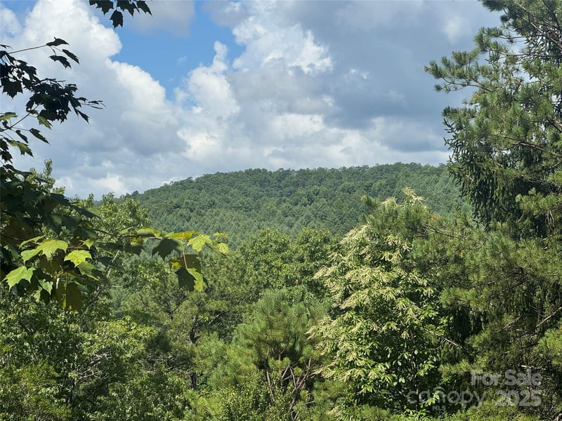 999 Ivy Ln, Pisgah Forest, NC 28768
