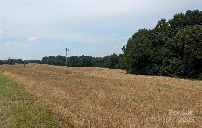 1455 Blonnie Ross Rd, Polkton, NC 28135