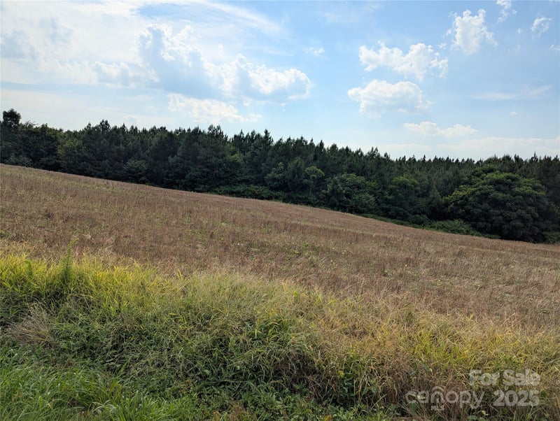 1455 Blonnie Ross Rd, Polkton, NC 28135
