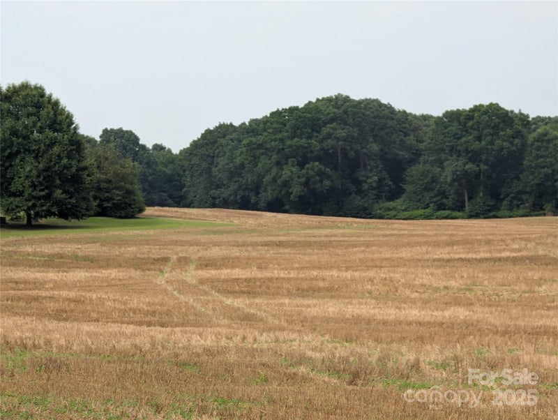 1455 Blonnie Ross Rd, Polkton, NC 28135