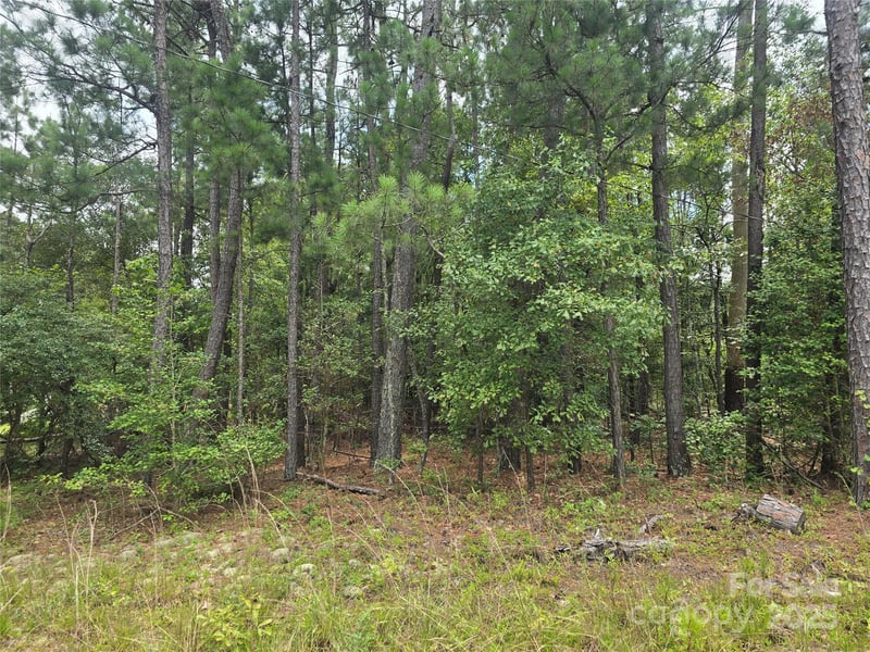 00 Johnny Williams Rd #5, Kershaw, SC 29067
