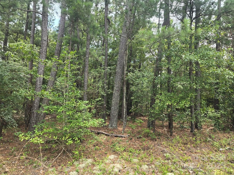 00 Johnny Williams Rd #5, Kershaw, SC 29067