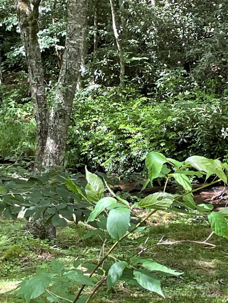 686 Mashstomp Rd, Maggie Valley, NC 28751