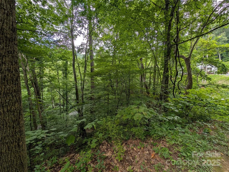 99999 Whispering Woods Pa #44, Mars Hill, NC 28754