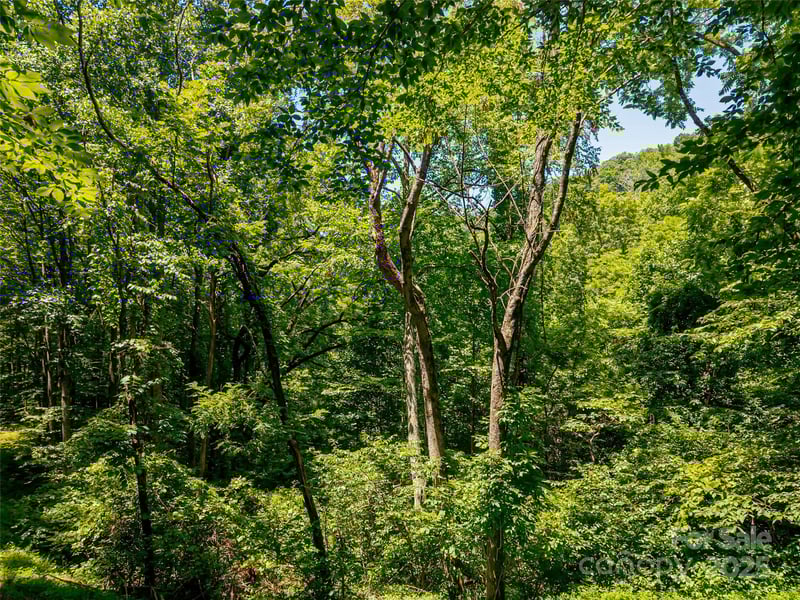 99999 Whispering Woods Pa #44, Mars Hill, NC 28754