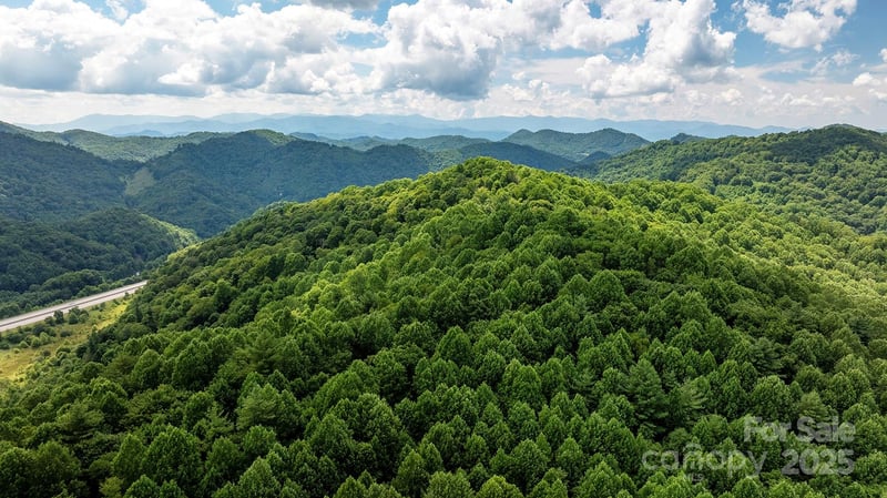 1710 Roaring Fork Rd, Mars Hill, NC 28754