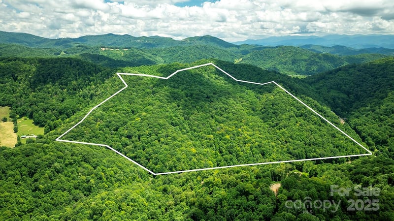 1710 Roaring Fork Rd, Mars Hill, NC 28754