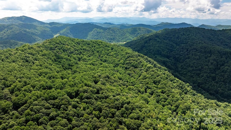 1710 Roaring Fork Rd, Mars Hill, NC 28754