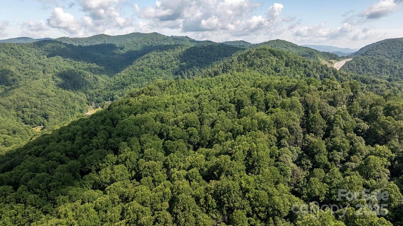 1710 Roaring Fork Rd, Mars Hill, NC 28754