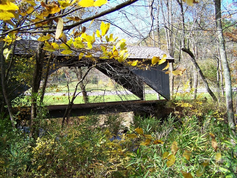 Mountain River Pl, Zirconia, NC 28773