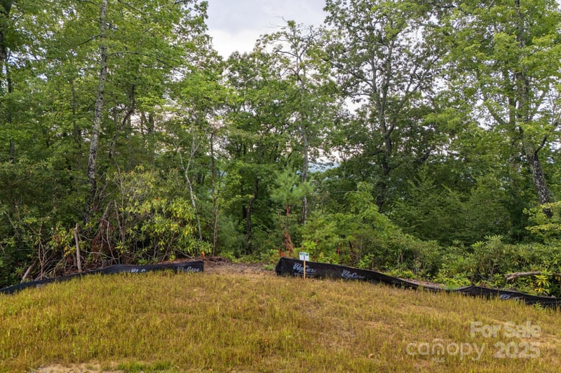 Masterpiece View Dr #1, Hendersonville, NC 28739
