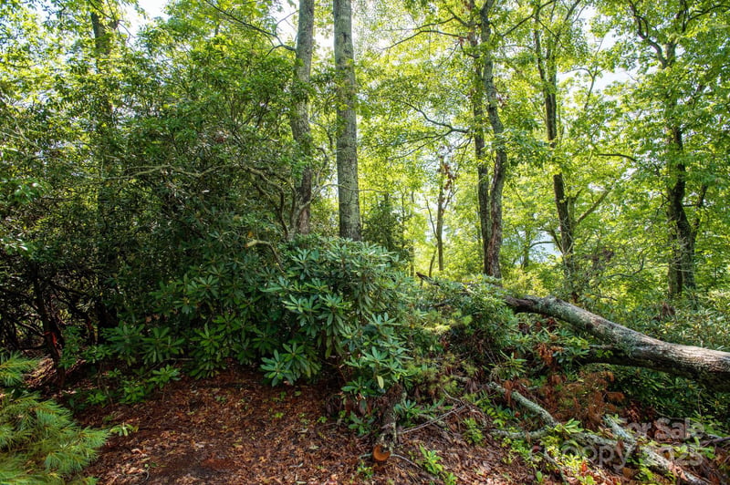 Masterpiece View Dr #1, Hendersonville, NC 28739