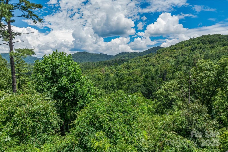 29 Grovepoint Way, Asheville, NC 28804