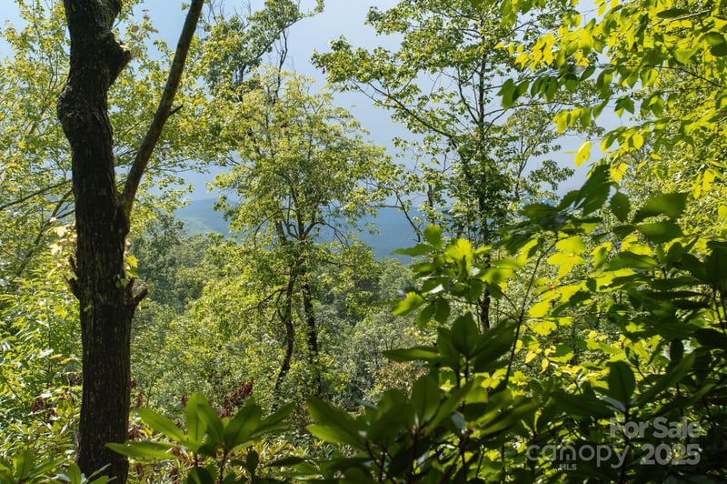Masterpiece View Dr #2, Hendersonville, NC 28739