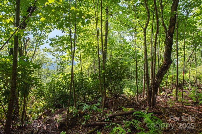 Masterpiece View Dr #2, Hendersonville, NC 28739